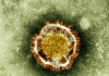 Alfaisal College of Medicine faculty Dr. Ziad Ahmad Memish and Dr. Atef Shibil report on the update of the Corona virus now known as MERS-CoV (Middle East Respiratory Syndrome Coronavirus)