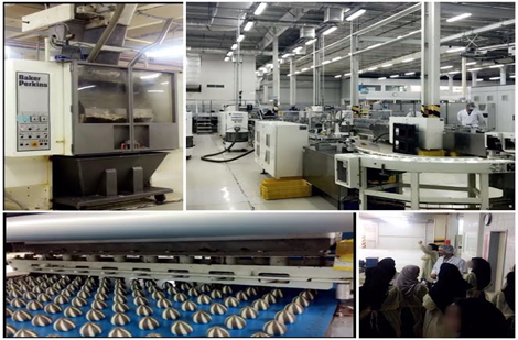 Manufacturing Facility at United Food Industries Corporation Ltd. 